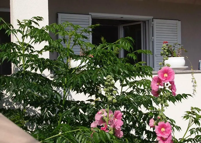 Open Hus